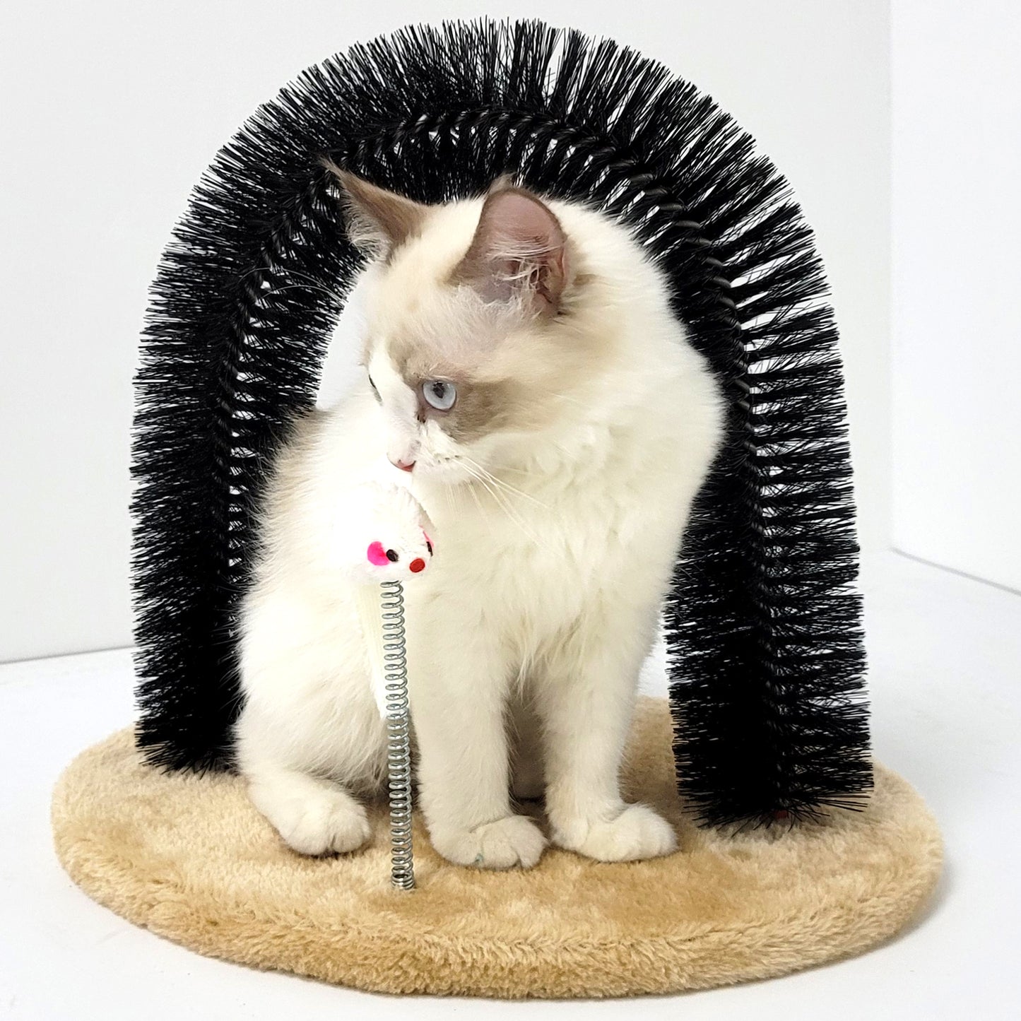 Cat Self Groomer Arch