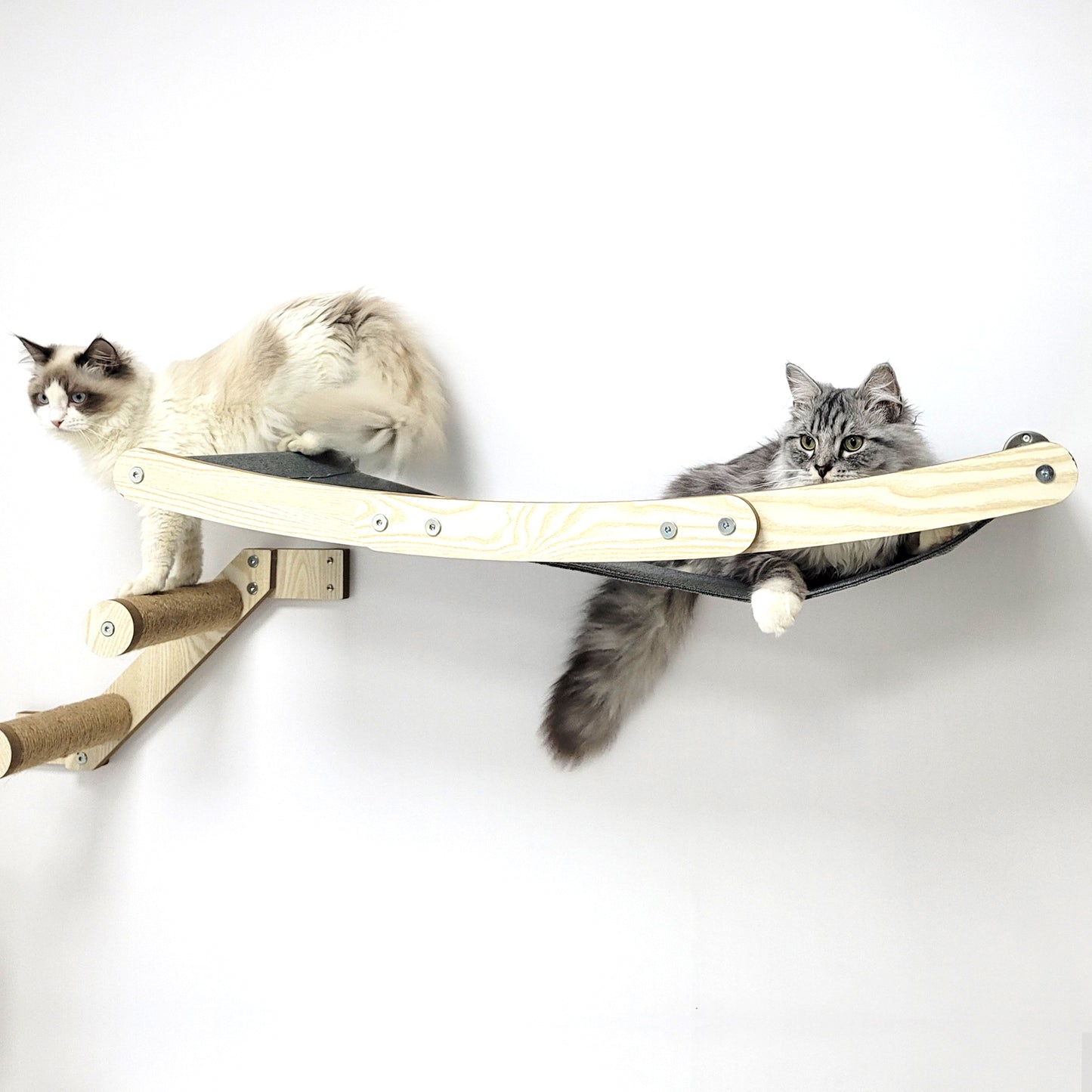 Stud Mounted Cat Wall Hammock, Maple