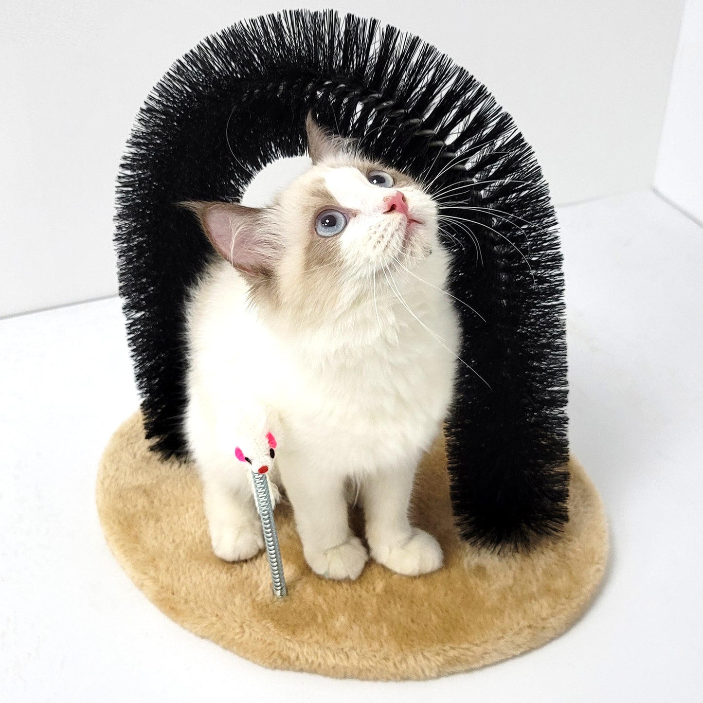 Cat Self Groomer Arch