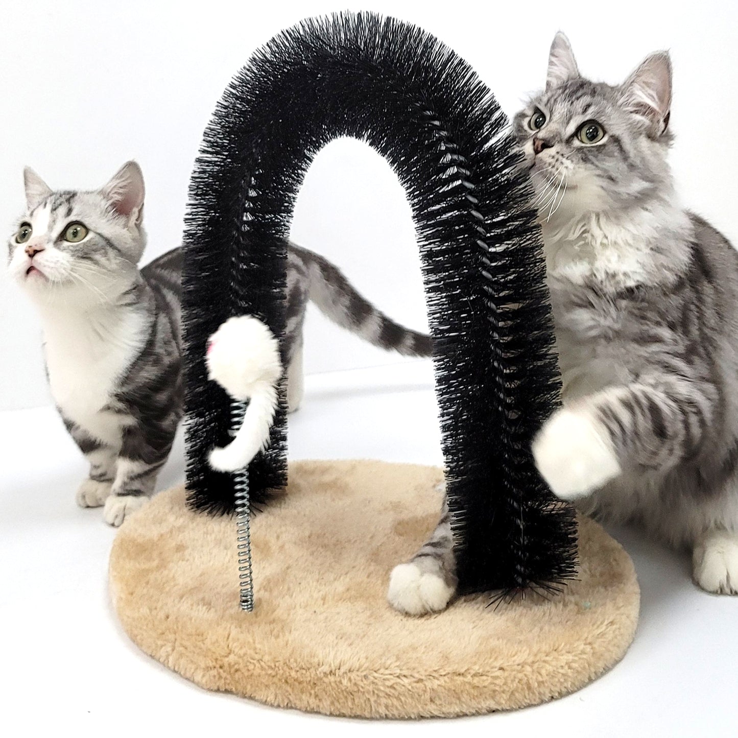 Cat Self Groomer Arch