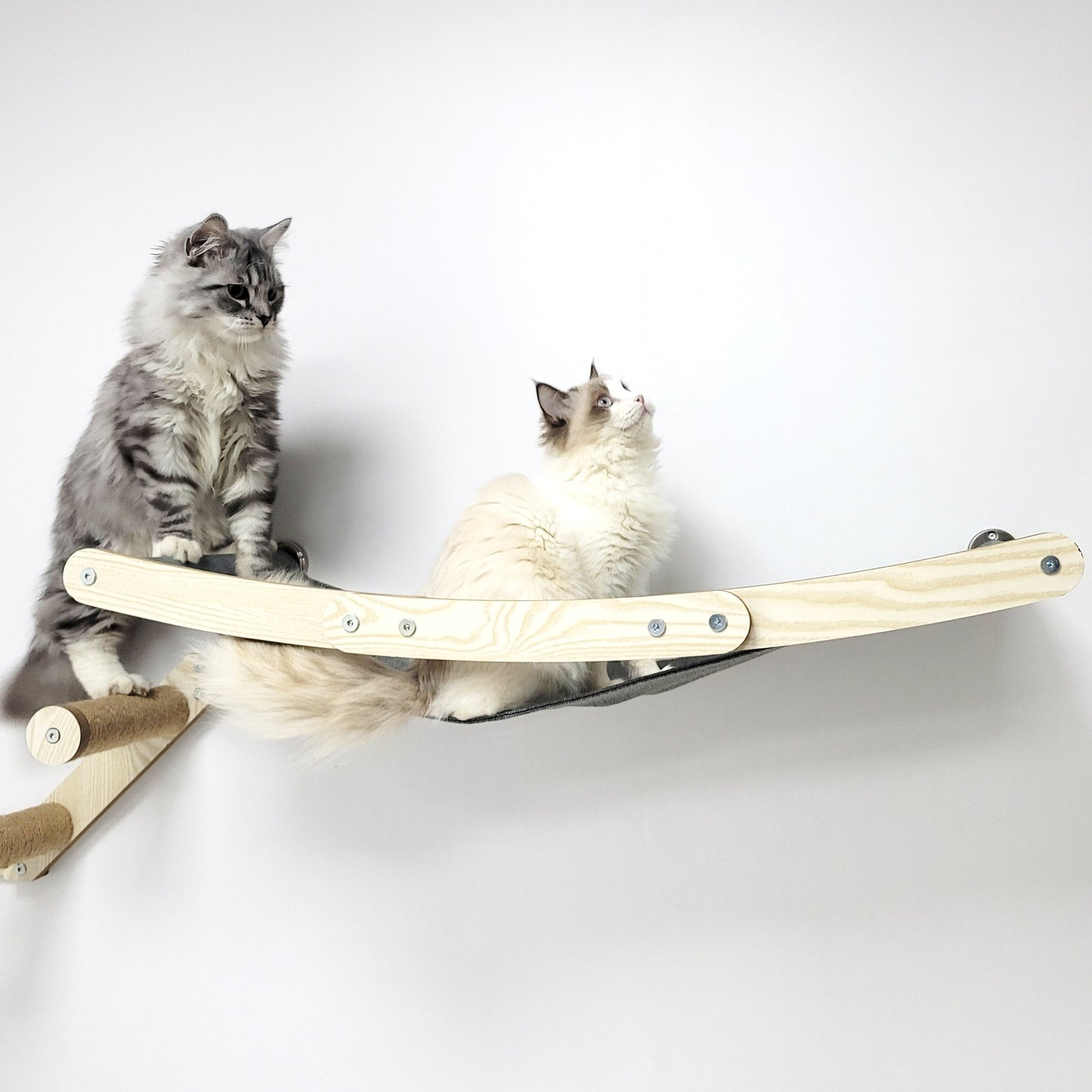 Stud Mounted Cat Wall Hammock, Maple