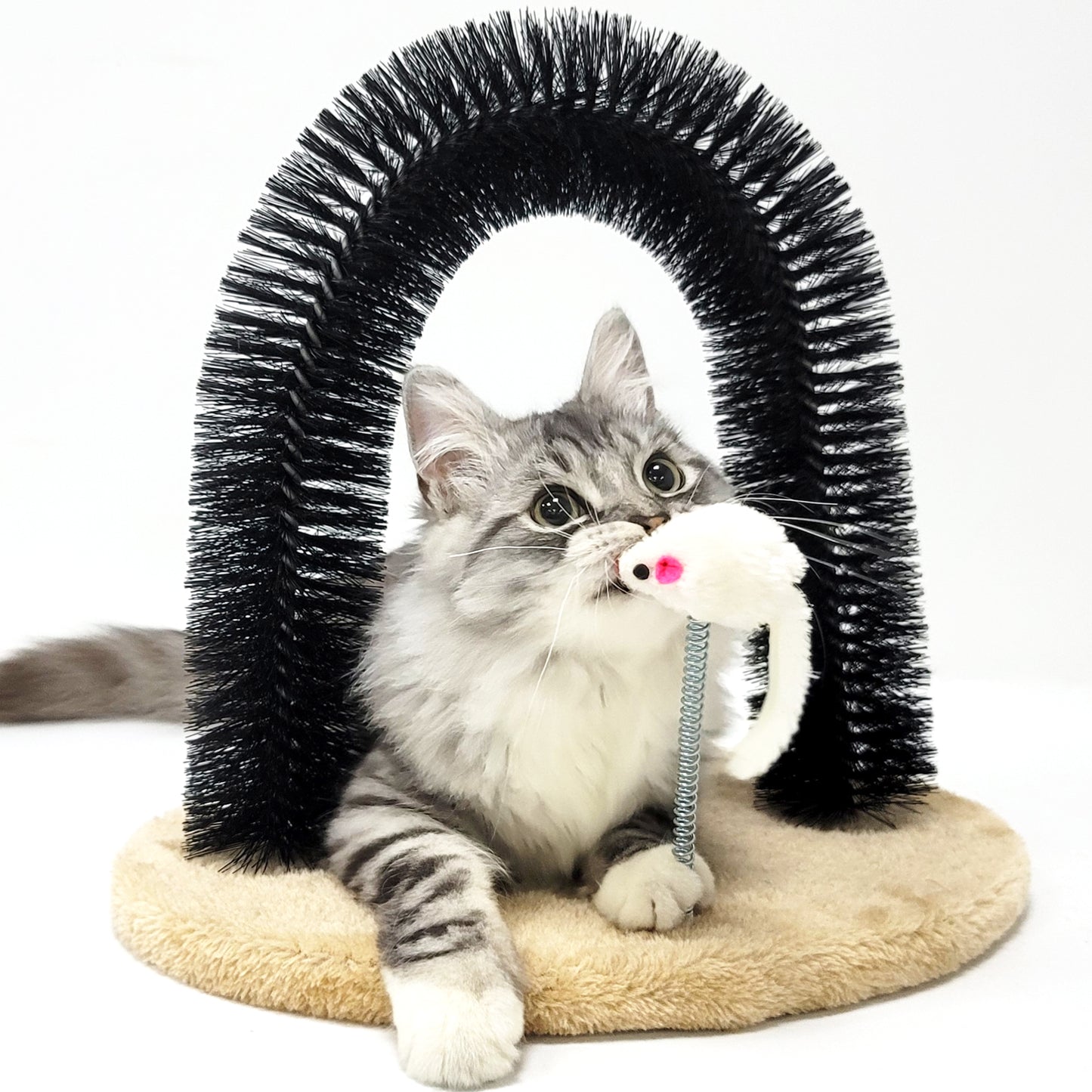 Cat Self Groomer Arch