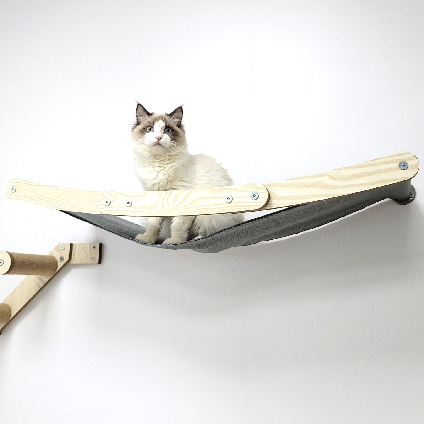 Stud Mounted Cat Wall Hammock, Maple