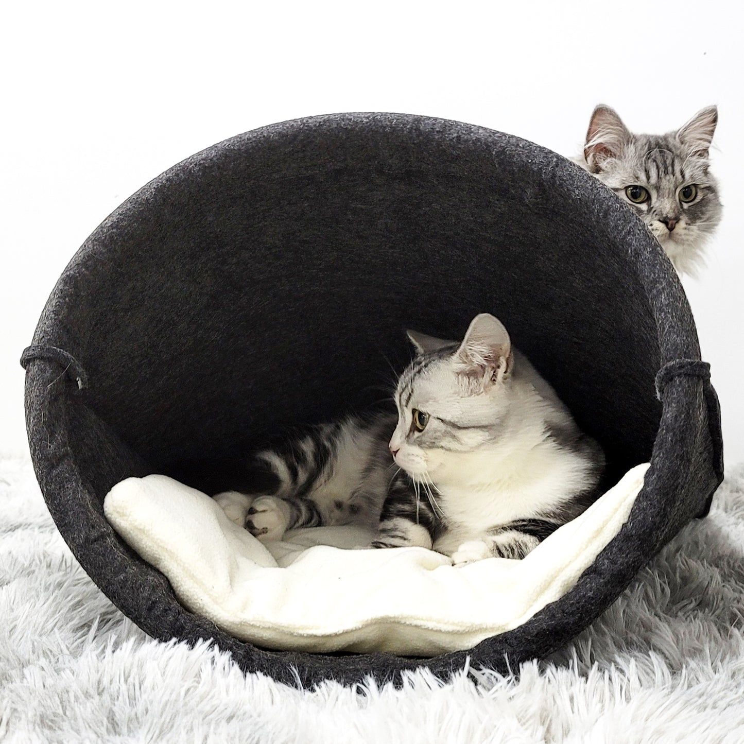 Wool Felt Cat Cave Bed House for Indoor Kittens