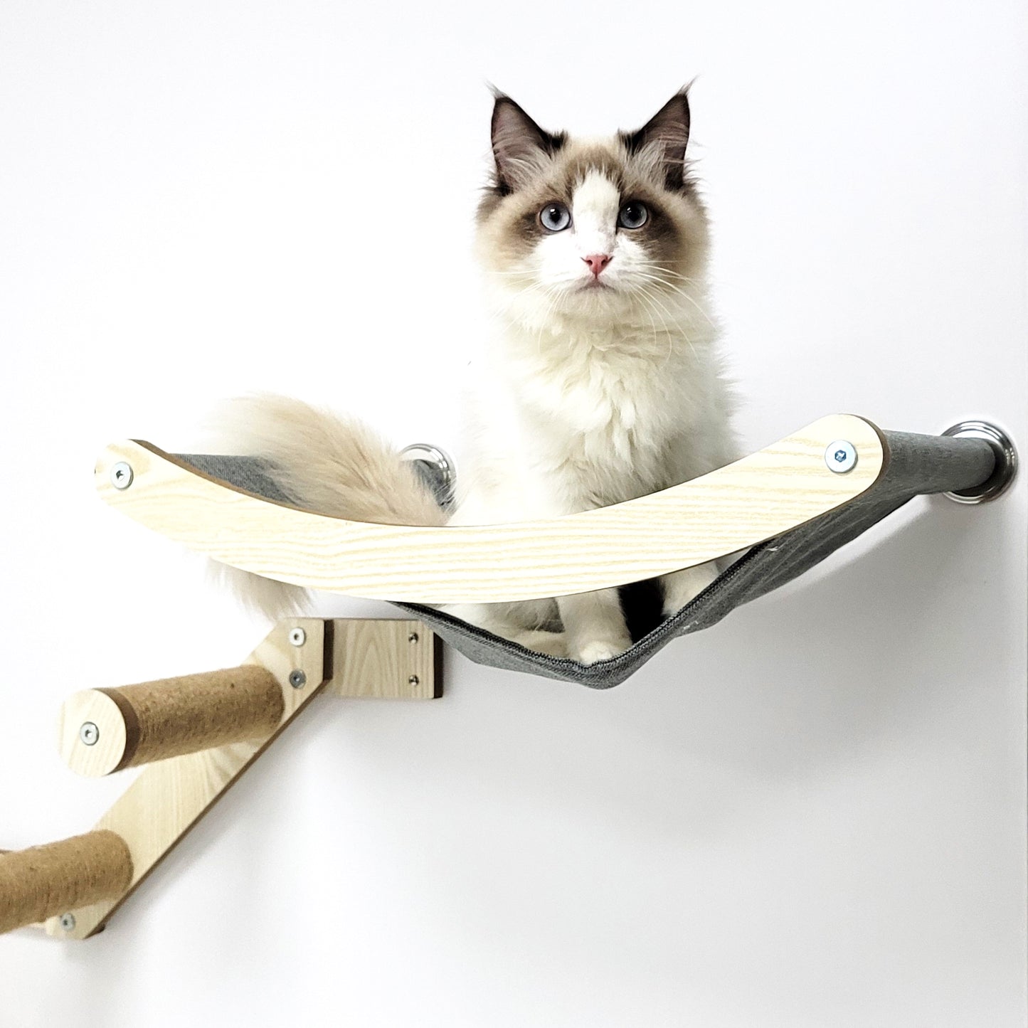 Stud Mounted Cat Wall Hammock, Maple