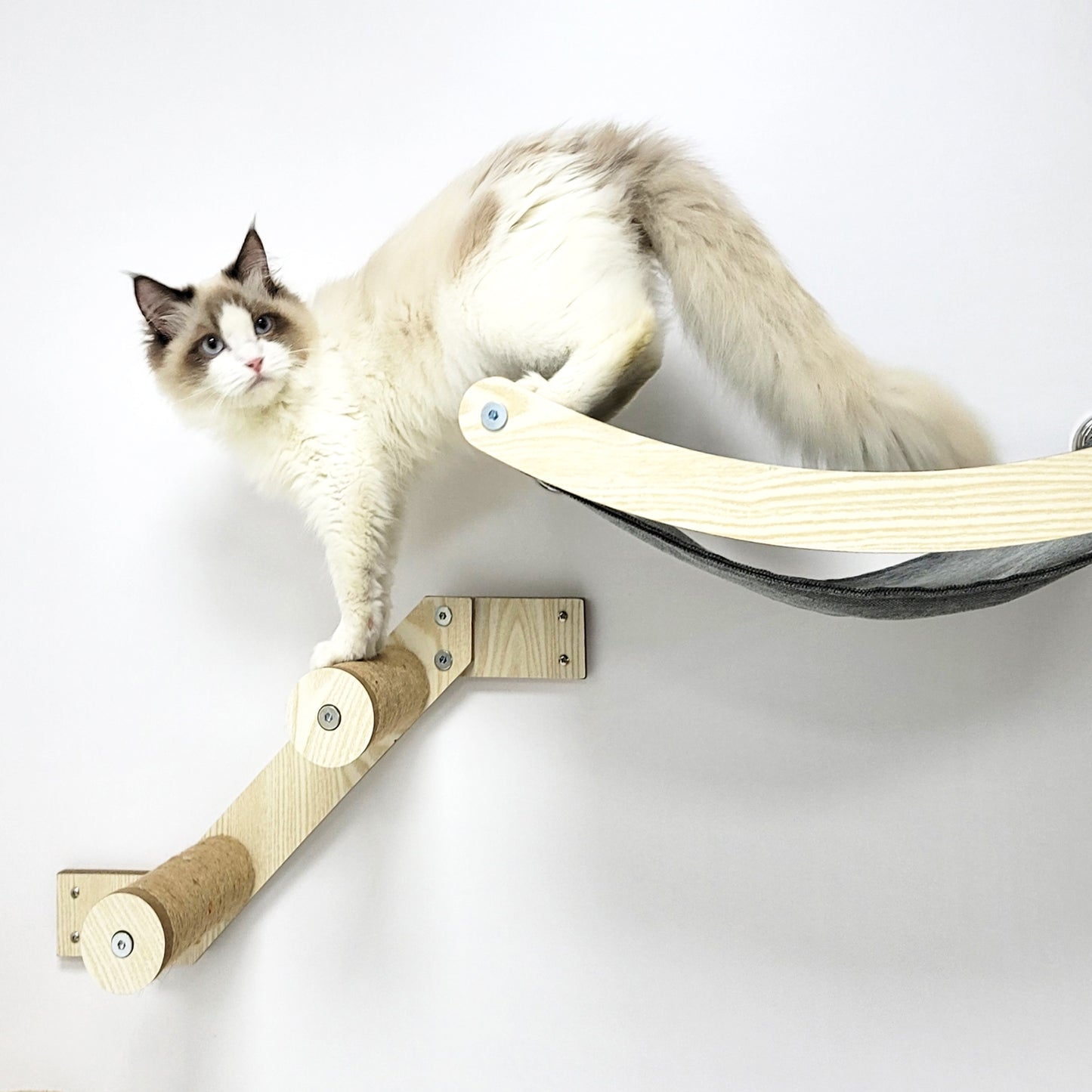 Stud Mounted Cat Wall Hammock, Maple
