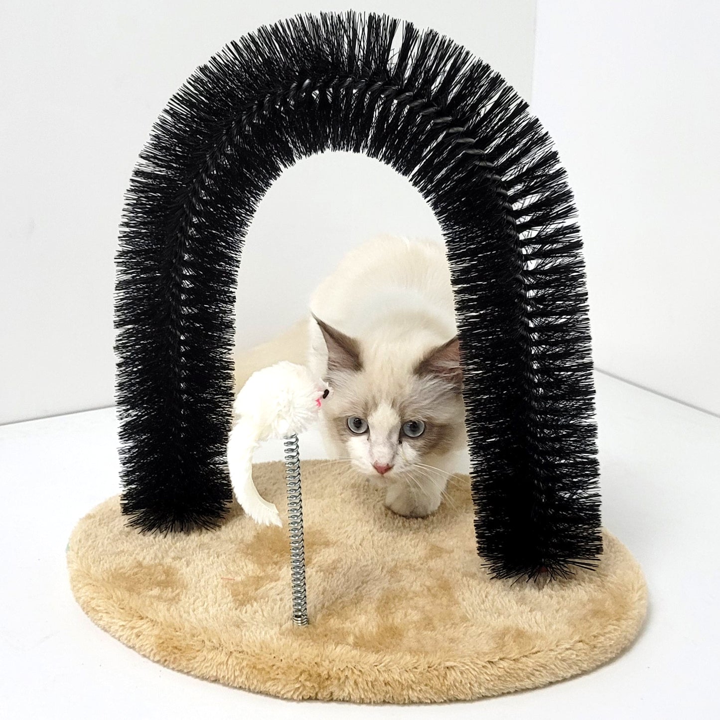 Cat Self Groomer Arch