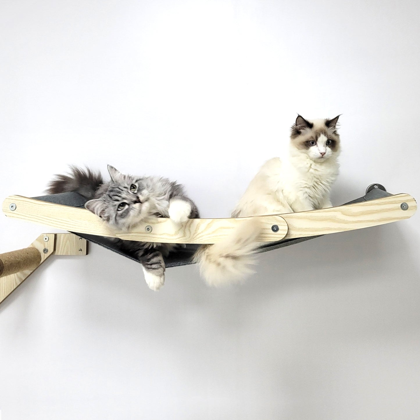 Stud Mounted Cat Wall Hammock, Maple