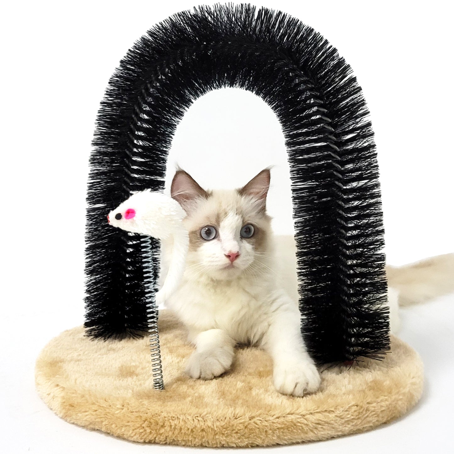 Cat Self Groomer Arch