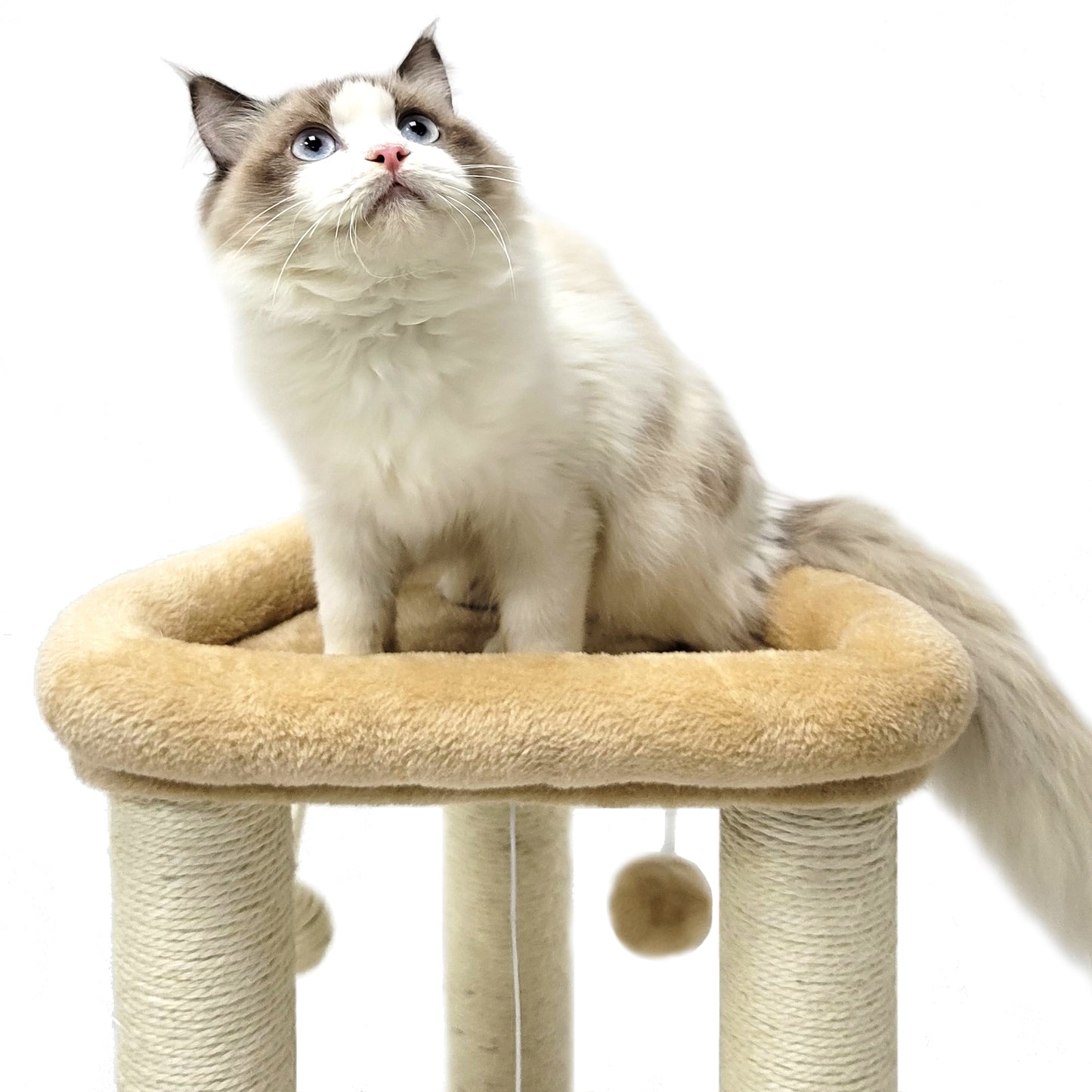Cat Cushion Perch Bed with Tripod Base Cat Scratching Posts (Gray/Beige)