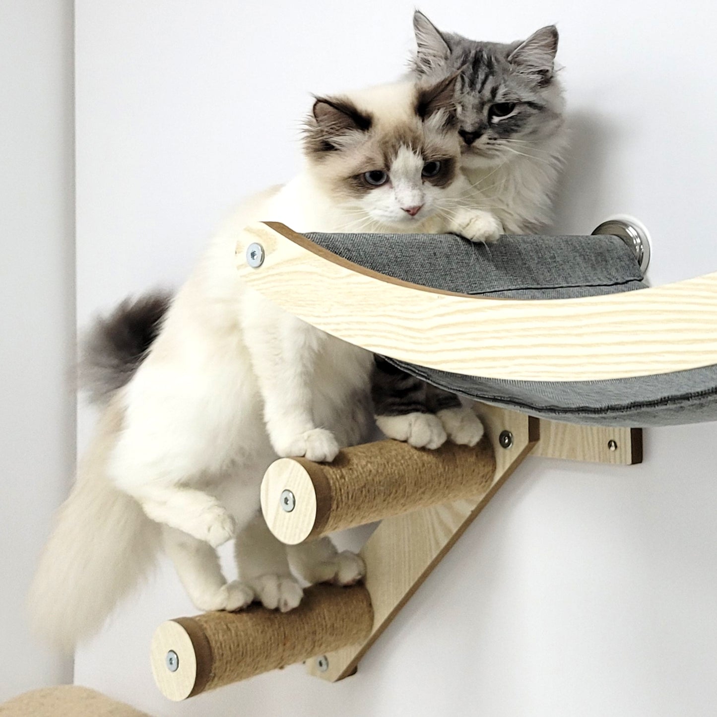 Stud Mounted Cat Wall Hammock, Maple