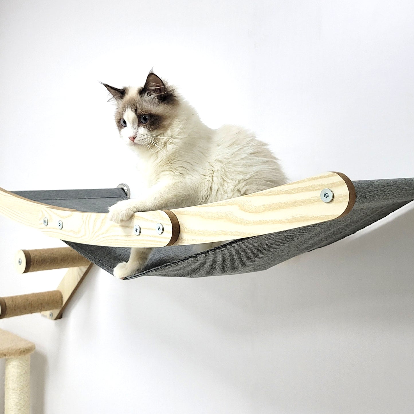 Stud Mounted Cat Wall Hammock, Maple