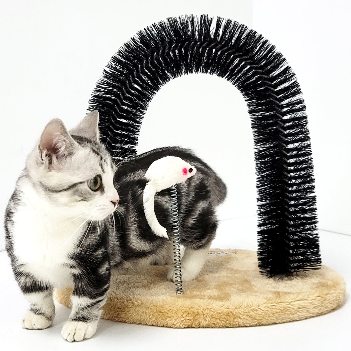Cat Self Groomer Arch