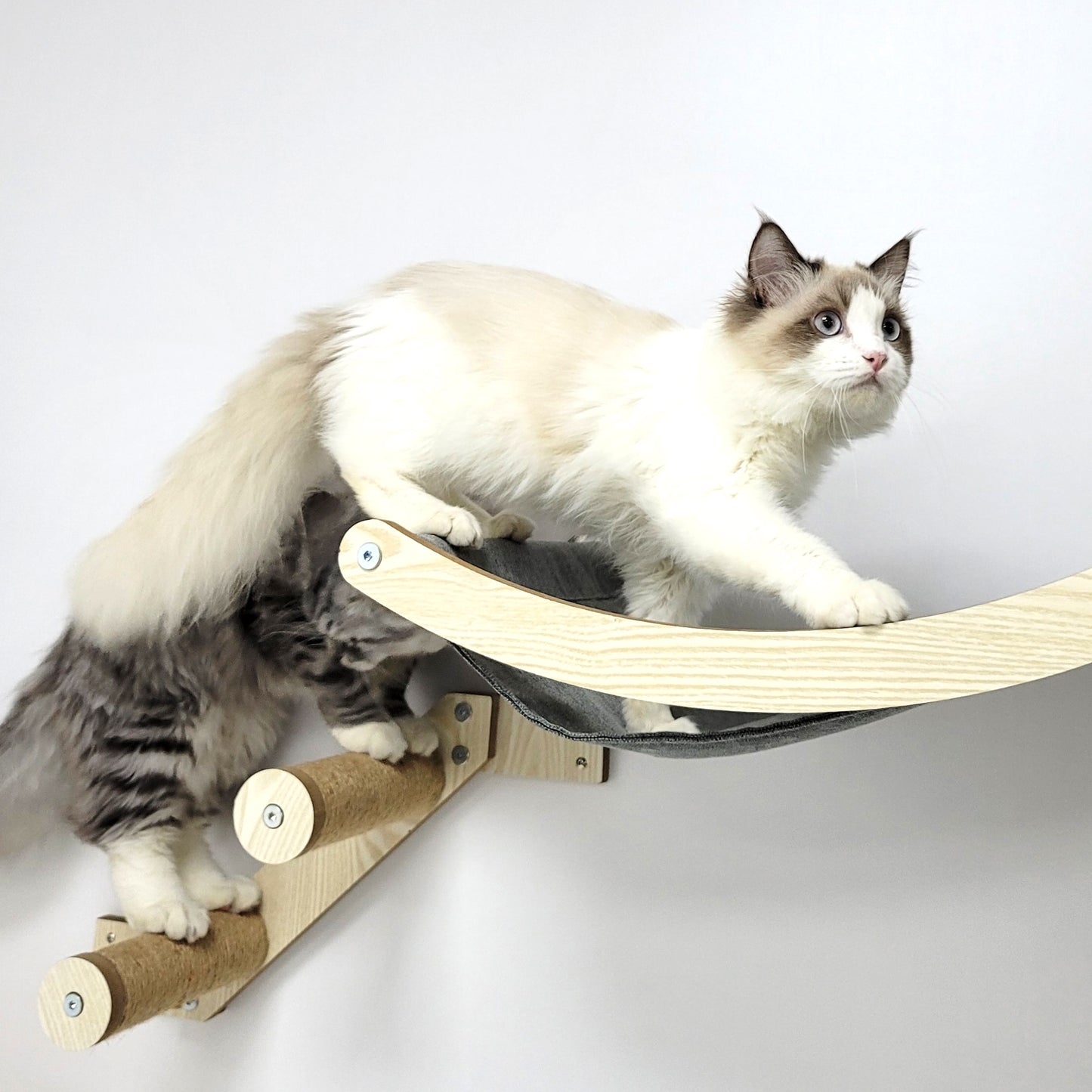 Stud Mounted Cat Wall Hammock, Maple