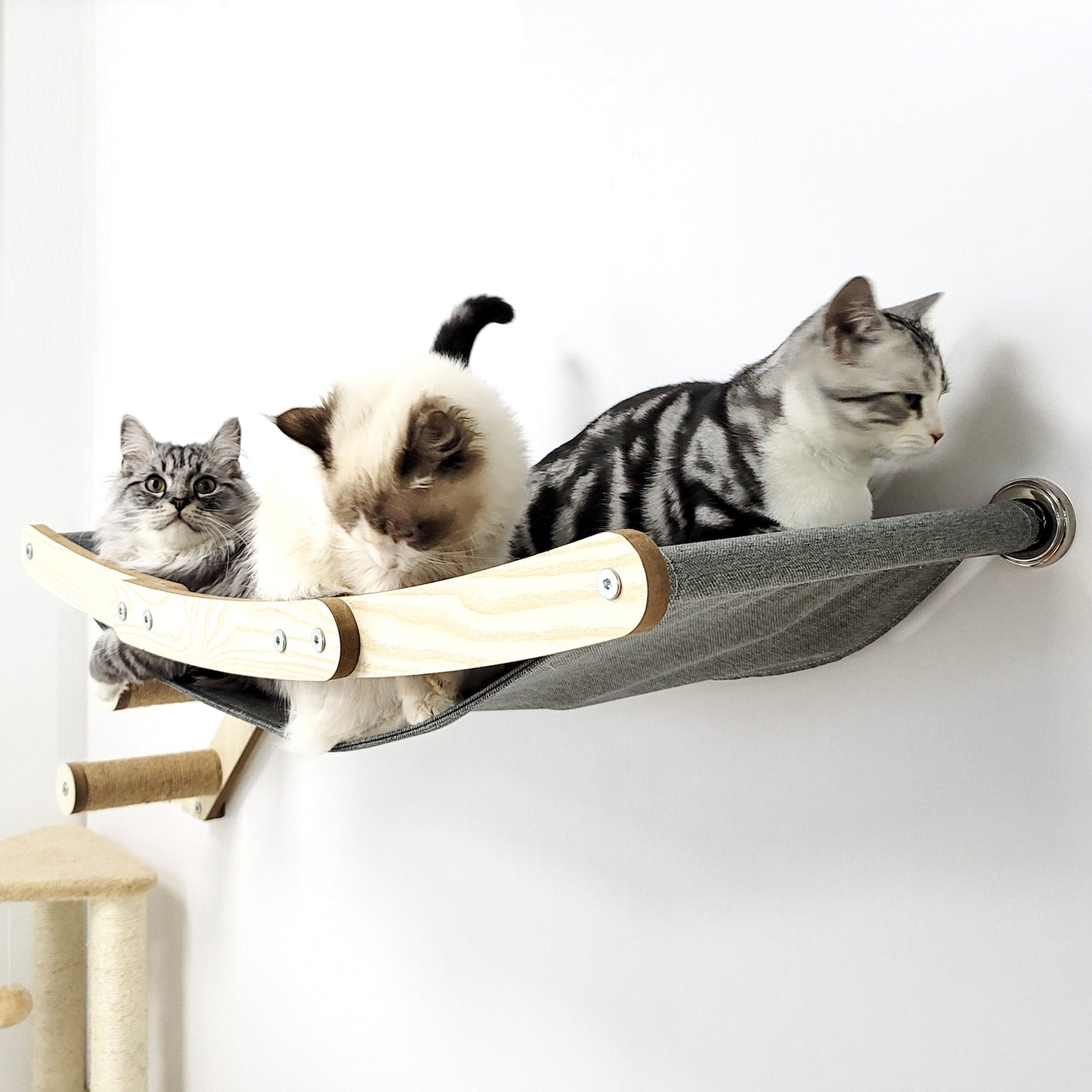Stud Mounted Cat Wall Hammock, Maple