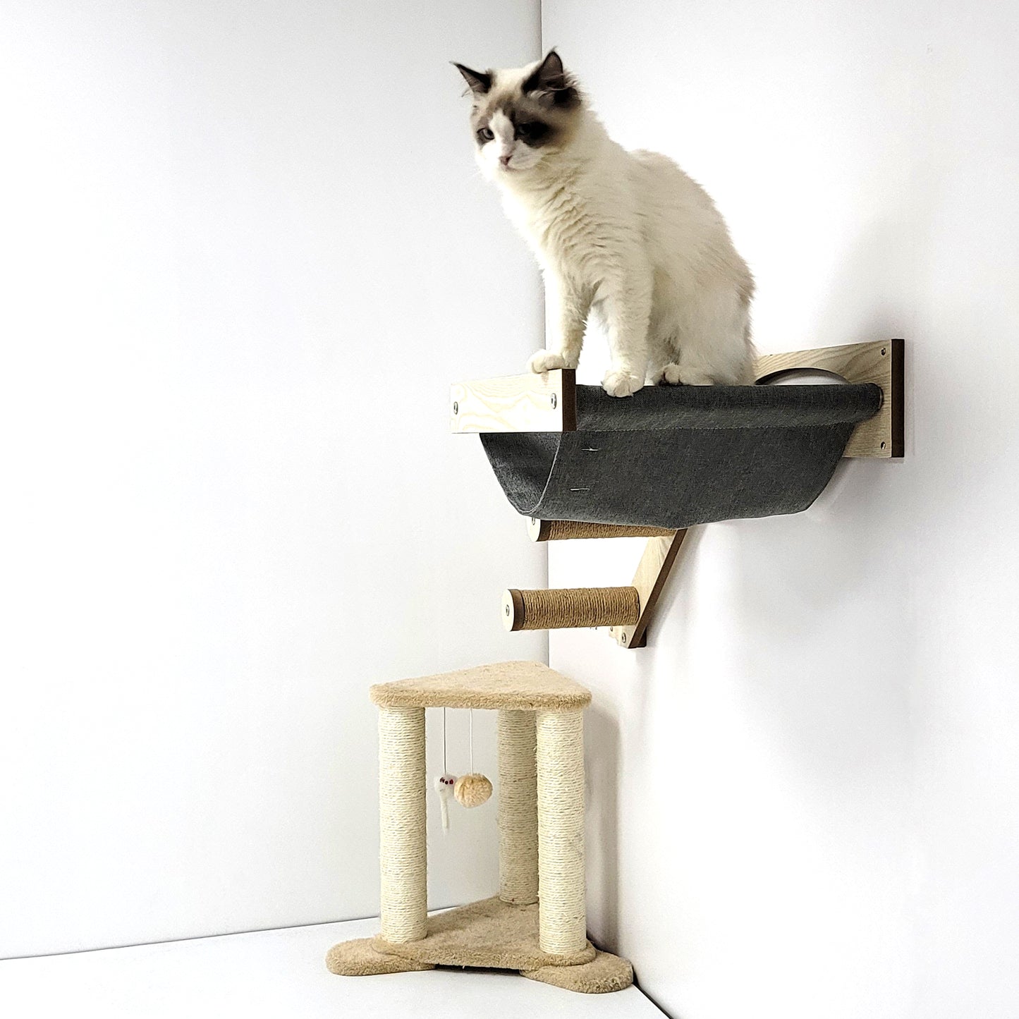 Stud Mounted Cat Wall Hammock, Maple