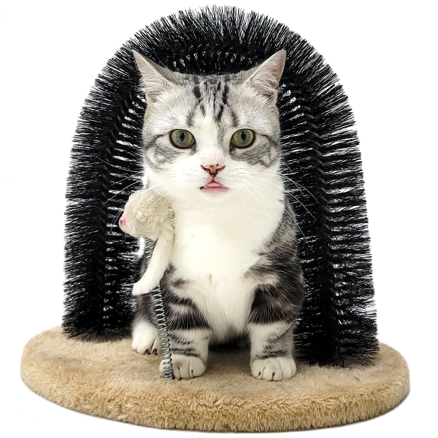 Cat Self Groomer Arch