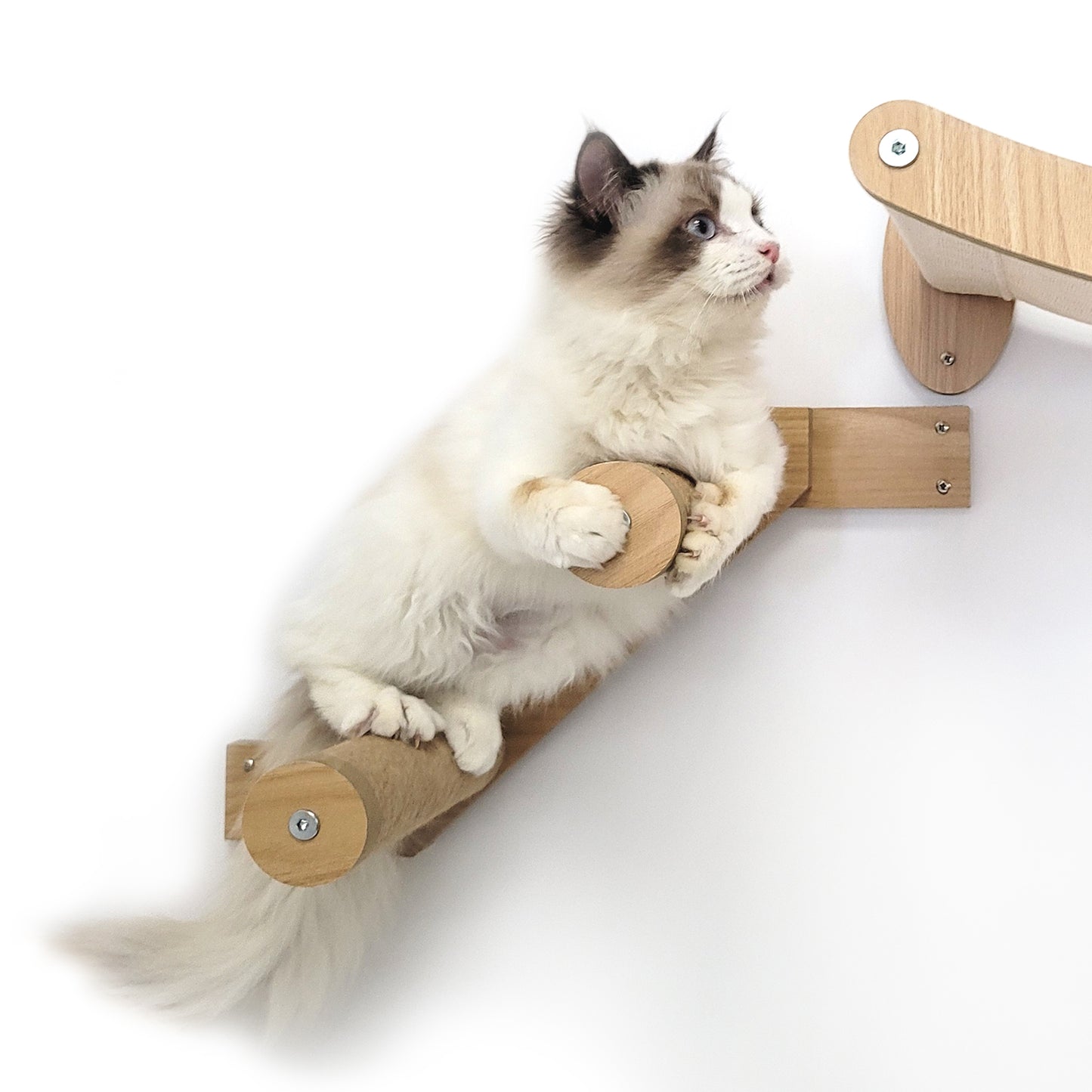 Stud Mounted Cat Wall Hammock with Stylish Curve Panel & Jumping Steps, Walnut