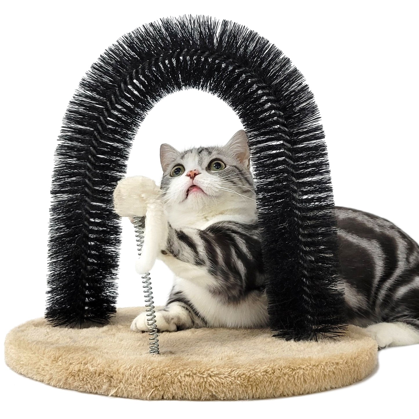 Cat Self Groomer Arch