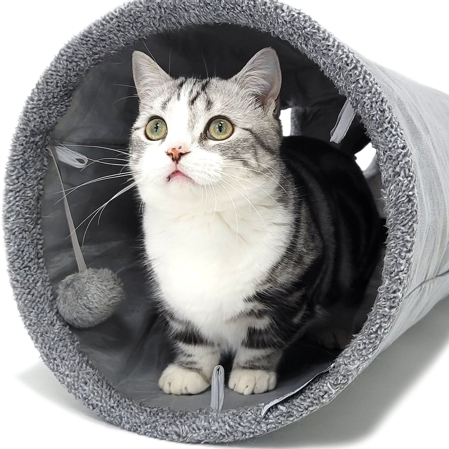 Cat Tunnels & Toys