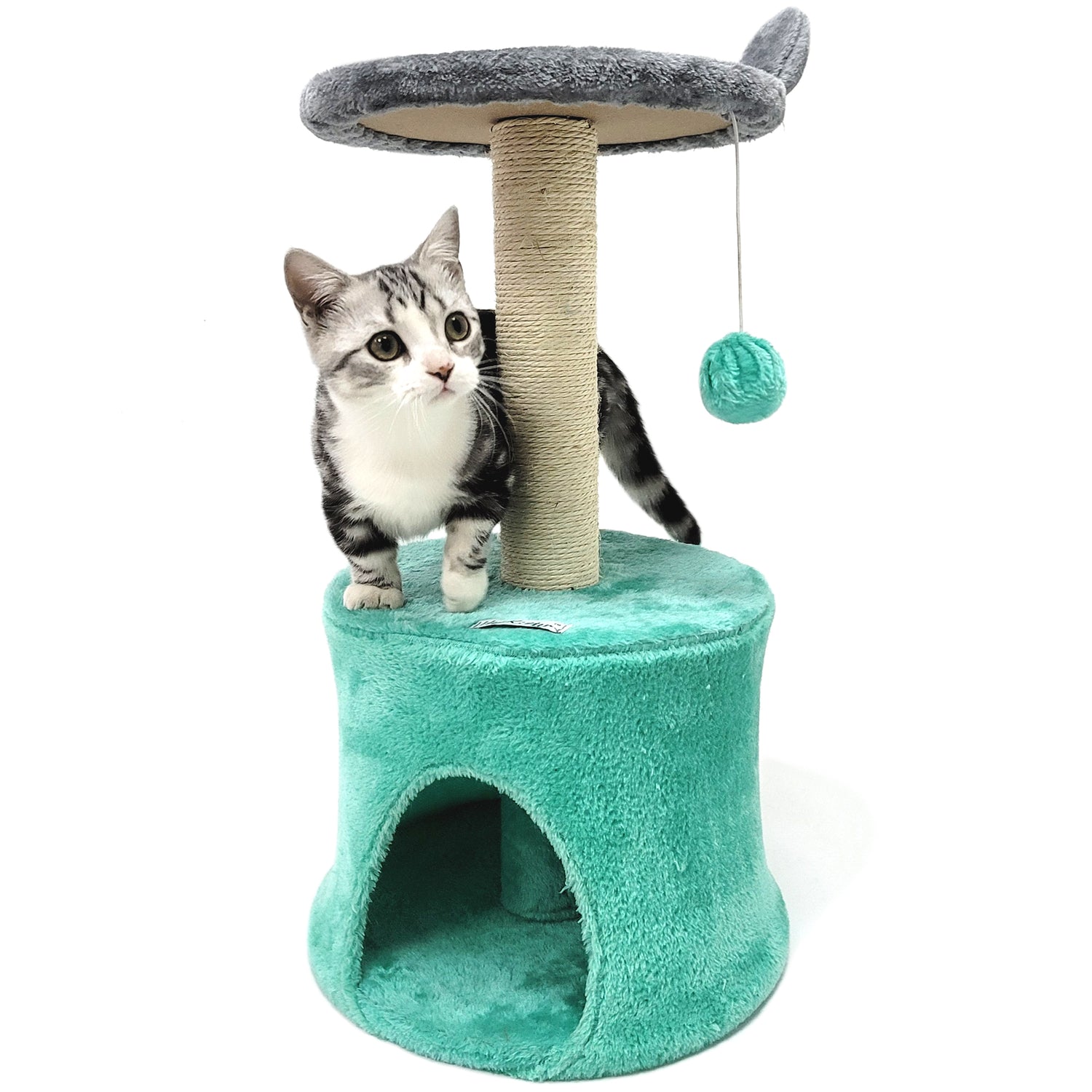 Cat Activity Trees