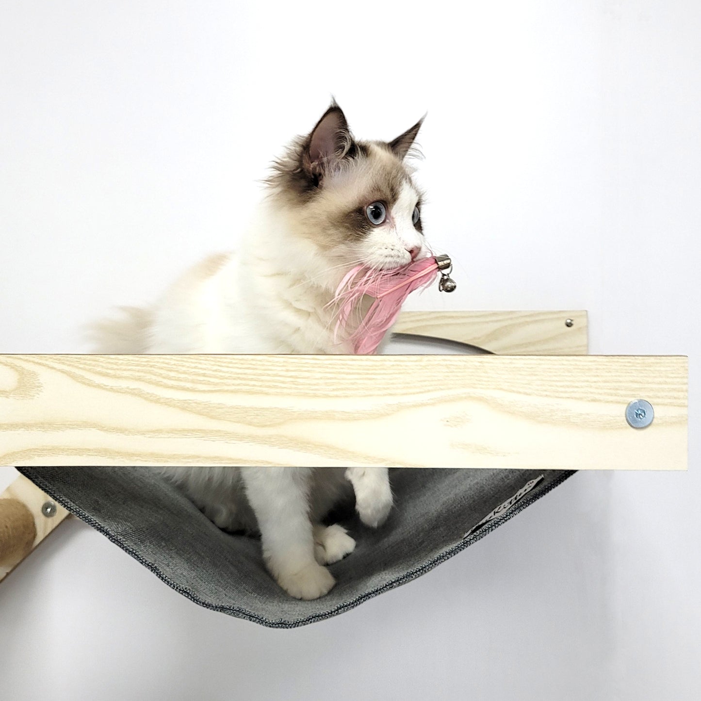 Cat Hammock and Jumping Steps for Stud Mount, Maple