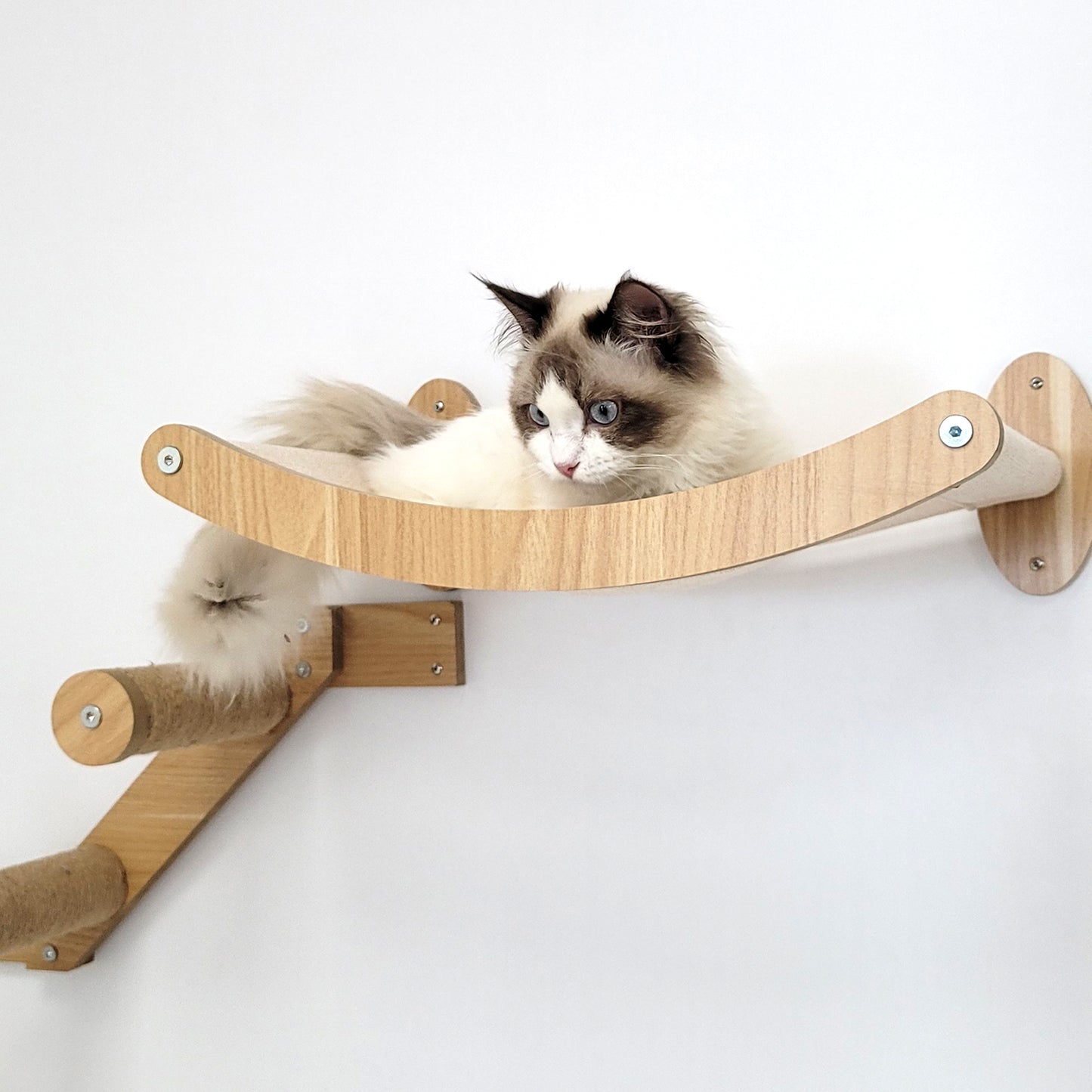Stud Mounted Cat Wall Hammock with Stylish Curve Panel & Jumping Steps, Walnut