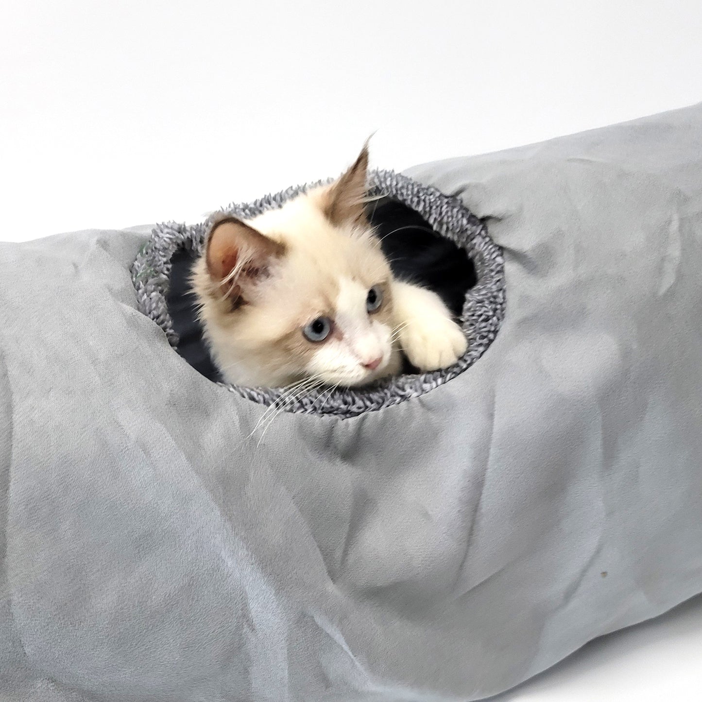 12" dia. Collapsible Crinkle Cat Play Tunnel with Hanging Toy Ball