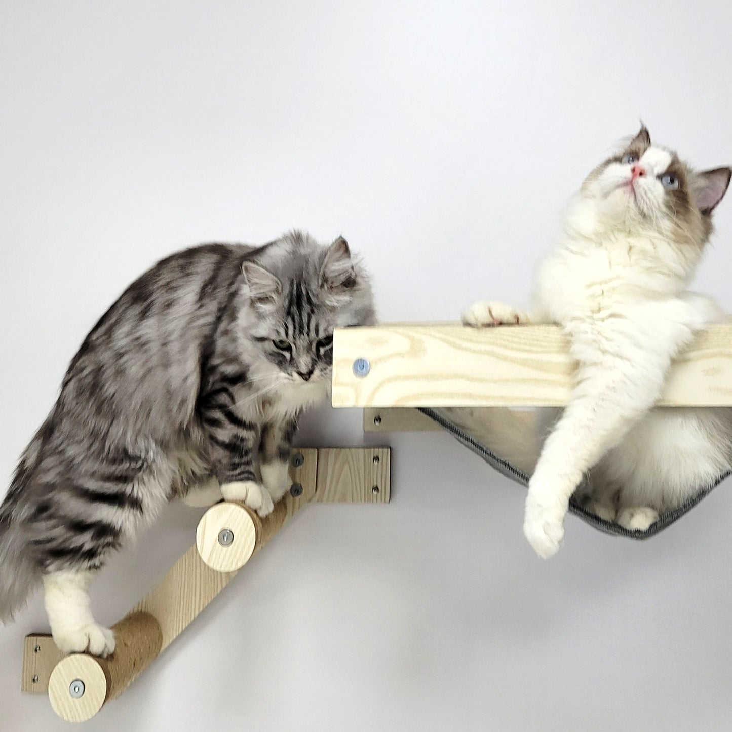 Cat Hammock and Jumping Steps for Stud Mount, Maple
