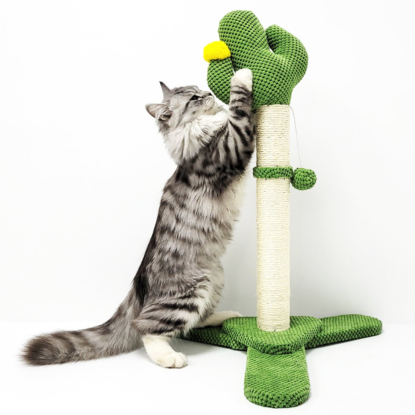 Cactus Cat Scratching Post with Dangling Toy Ball