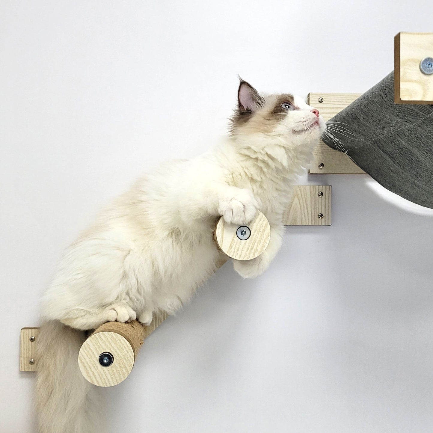 Cat Hammock and Jumping Steps for Stud Mount, Maple