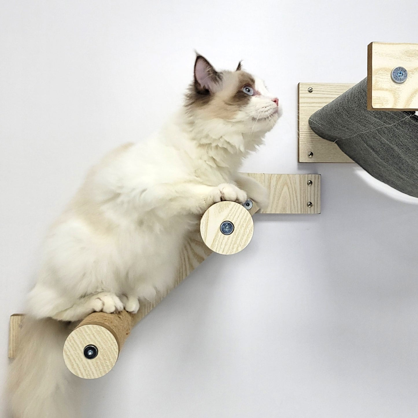 Cat Hammock and Jumping Steps for Stud Mount, Maple