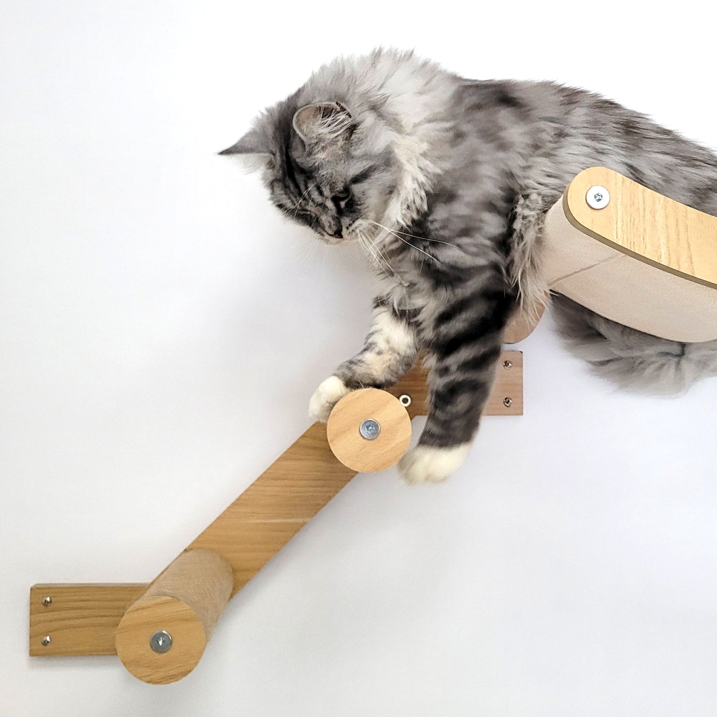 Stud Mounted Cat Wall Hammock with Stylish Curve Panel & Jumping Steps, Walnut