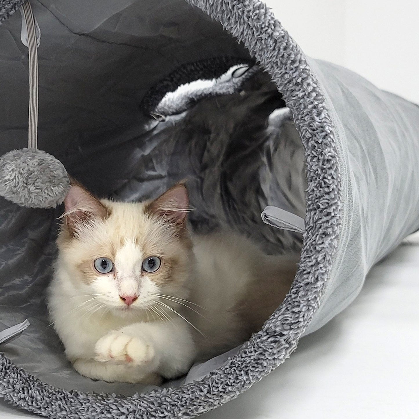 12" dia. Collapsible Crinkle Cat Play Tunnel with Hanging Toy Ball