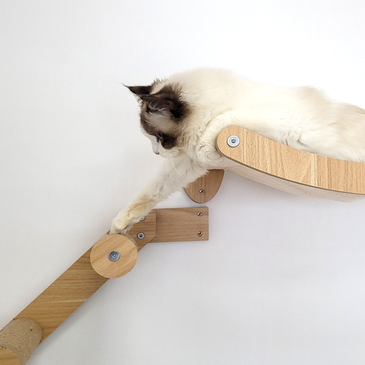 Stud Mounted Cat Wall Hammock with Stylish Curve Panel & Jumping Steps, Walnut