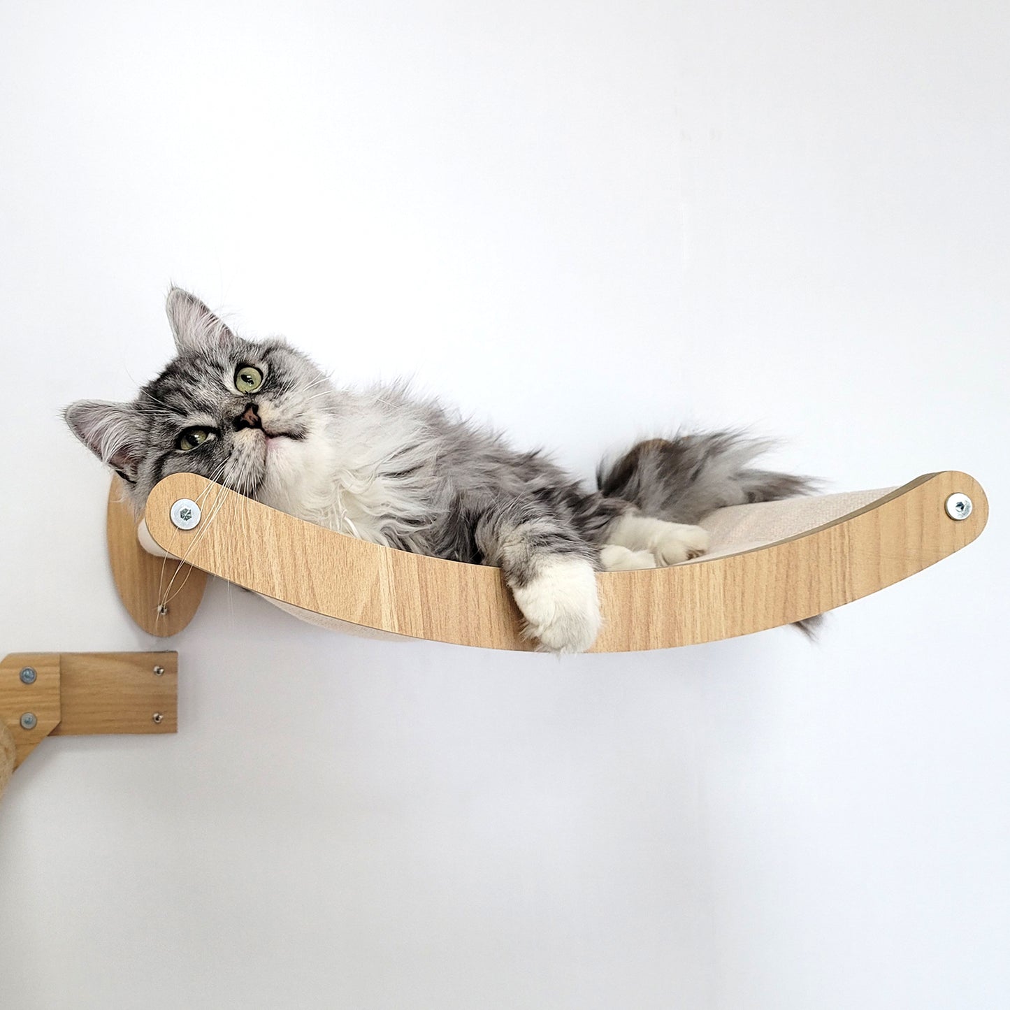 Stud Mounted Cat Wall Hammock with Stylish Curve Panel & Jumping Steps, Walnut