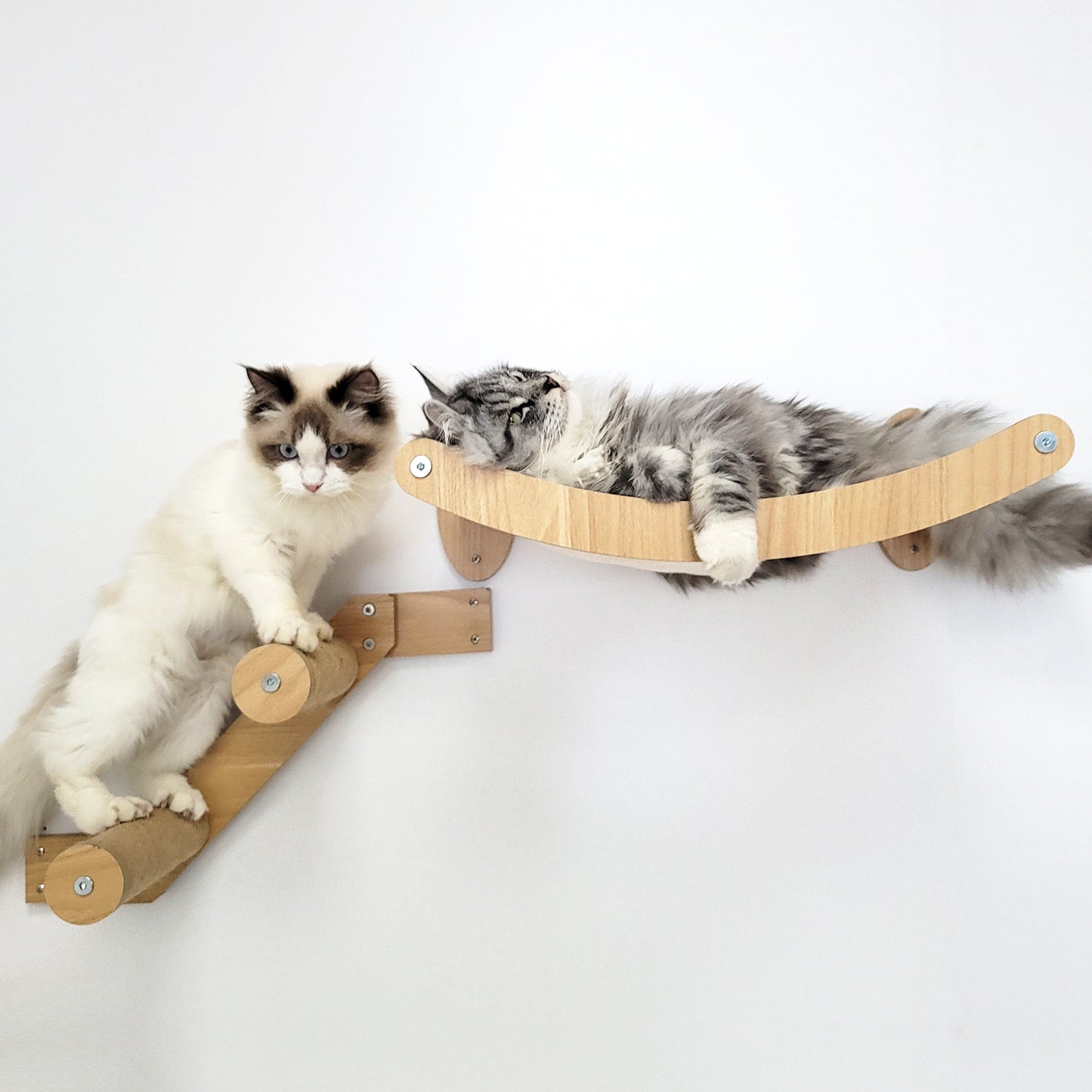 Stud Mounted Cat Wall Hammock with Stylish Curve Panel & Jumping Steps, Walnut