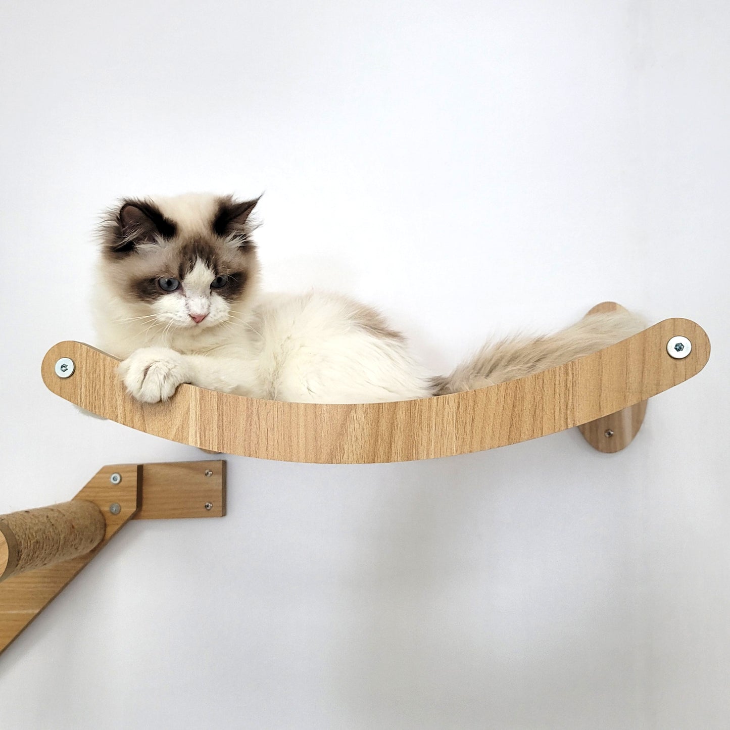 Stud Mounted Cat Wall Hammock with Stylish Curve Panel & Jumping Steps, Walnut