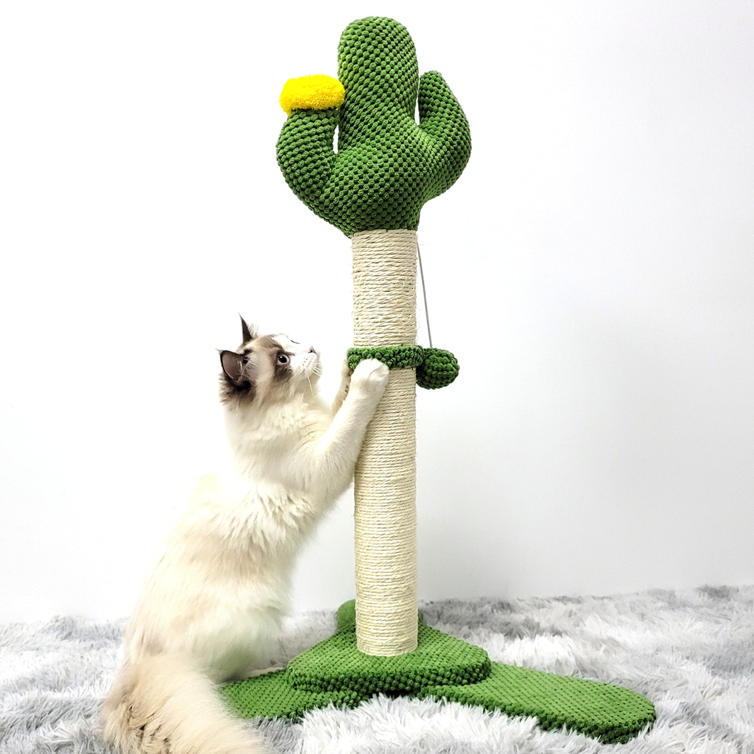 cactus cat scratch post