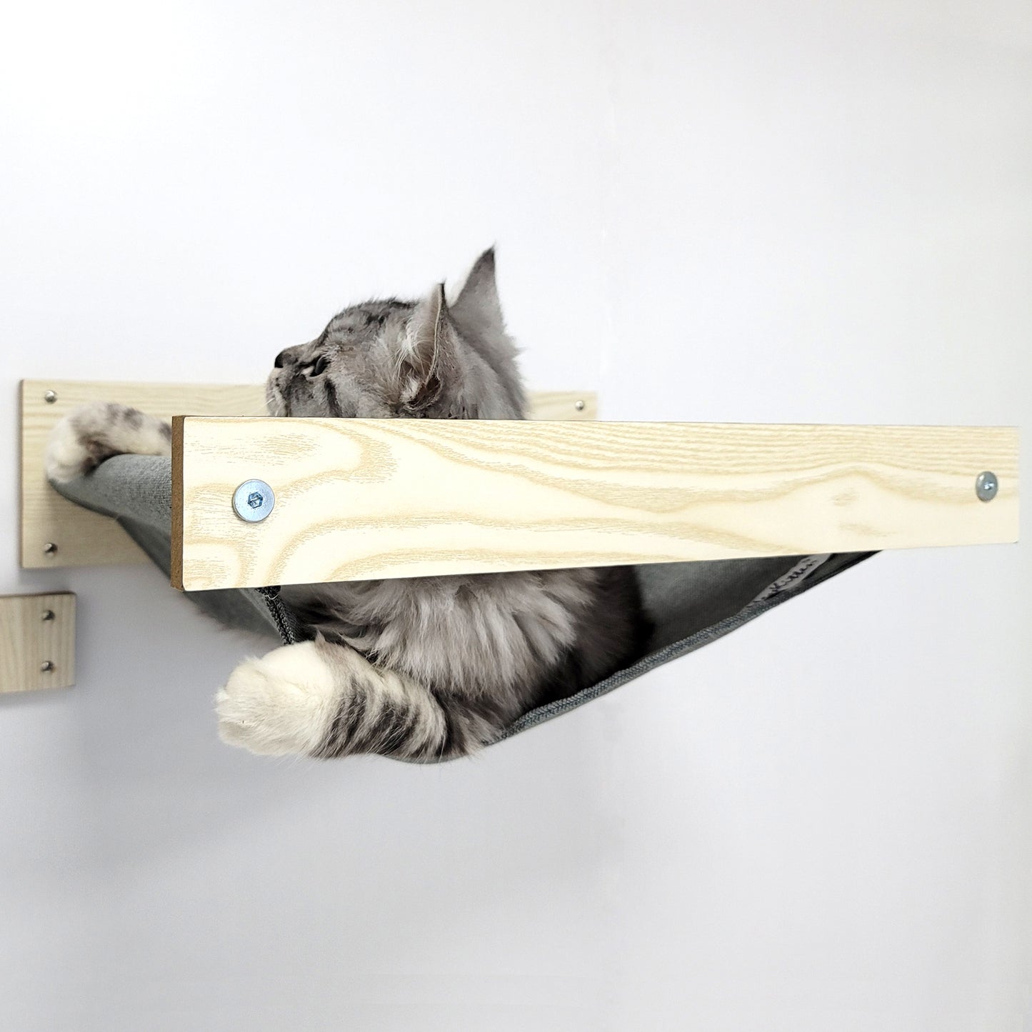 Cat Hammock and Jumping Steps for Stud Mount, Maple