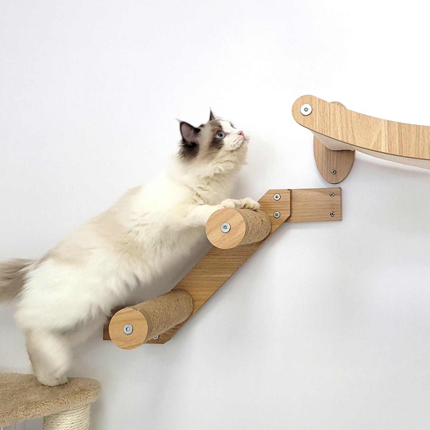 Stud Mounted Cat Wall Hammock with Stylish Curve Panel & Jumping Steps, Walnut