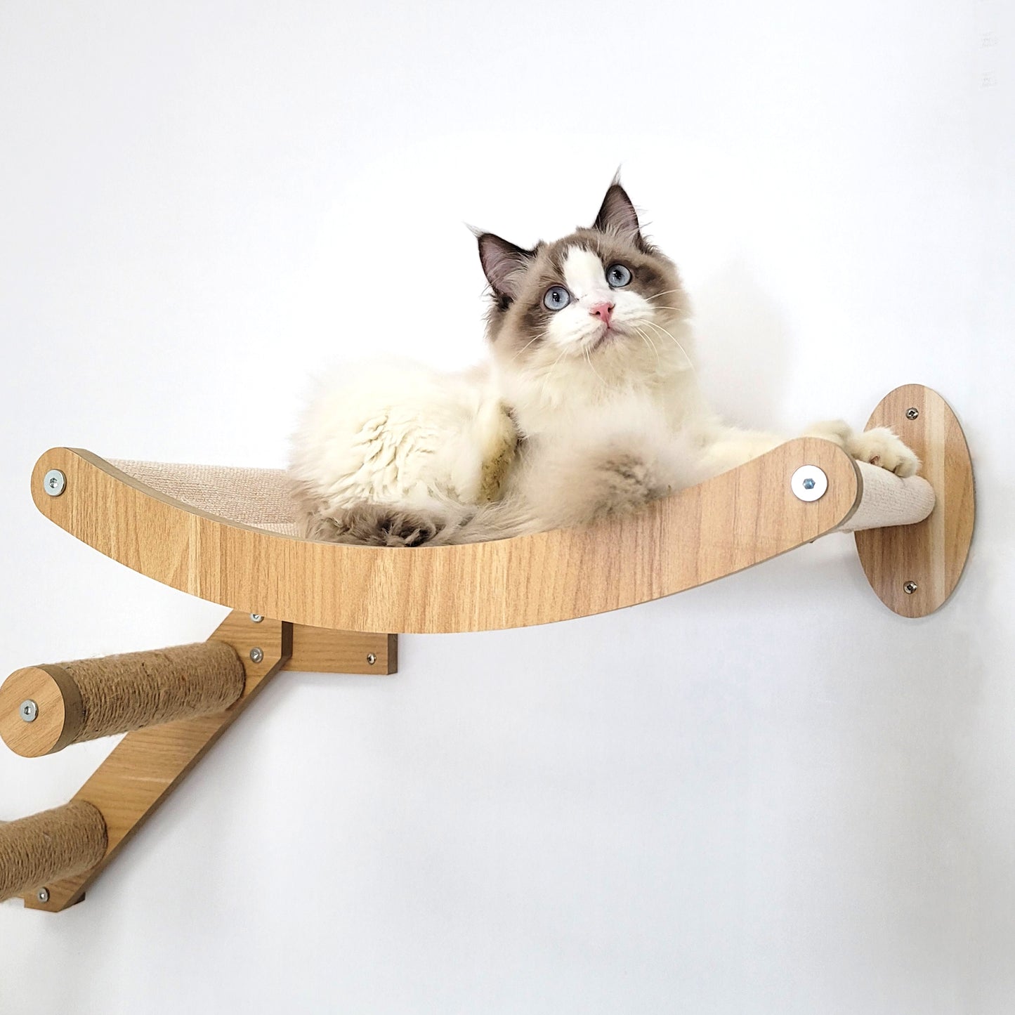 Stud Mounted Cat Wall Hammock with Stylish Curve Panel & Jumping Steps, Walnut