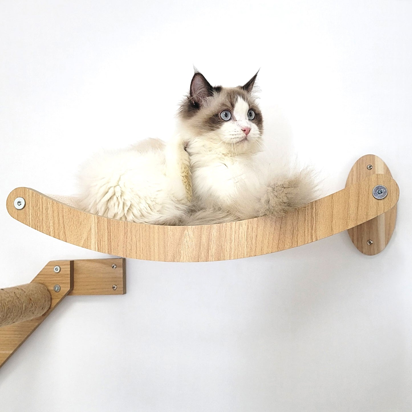 Stud Mounted Cat Wall Hammock with Stylish Curve Panel & Jumping Steps, Walnut