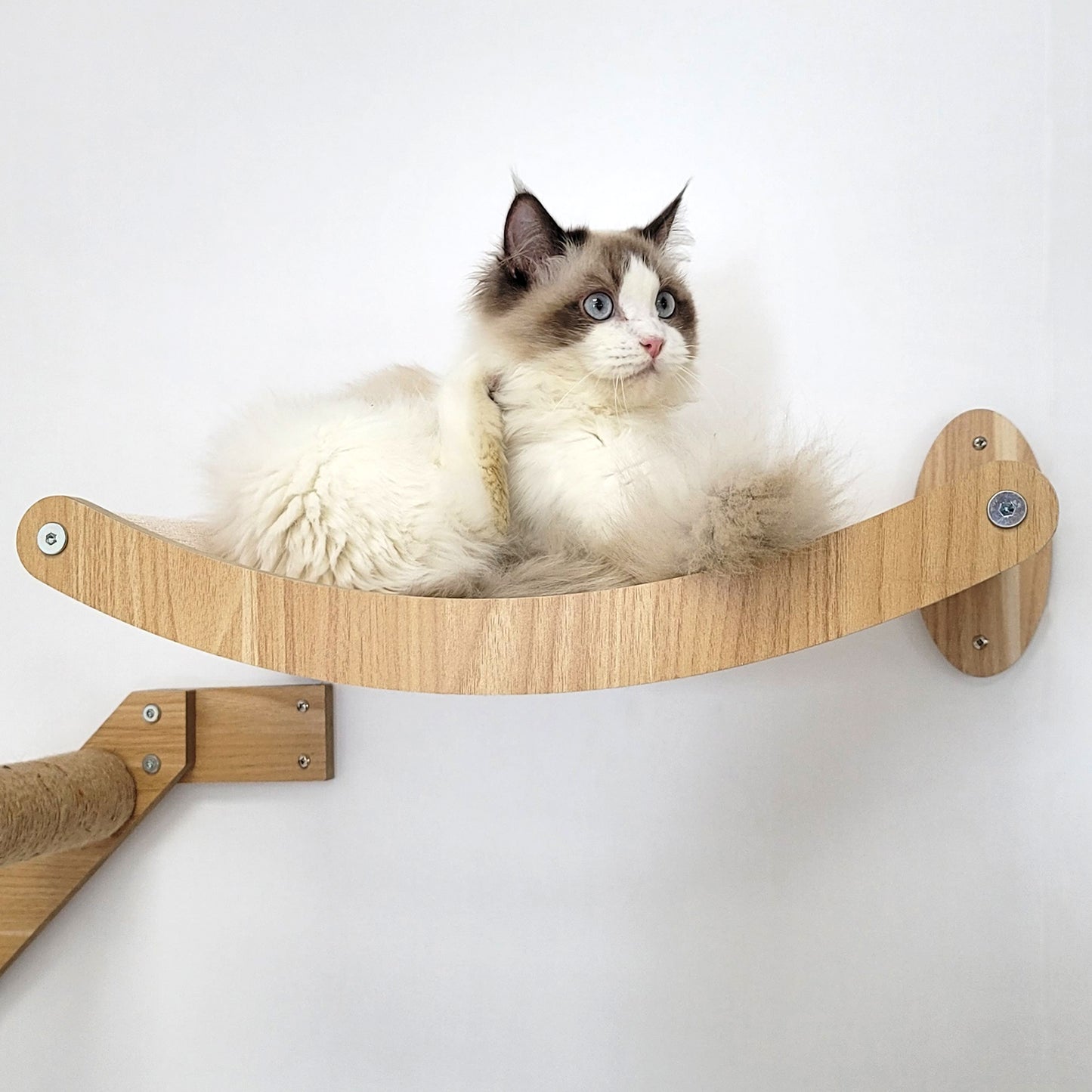 Stud Mounted Cat Wall Hammock with Stylish Curve Panel & Jumping Steps, Walnut