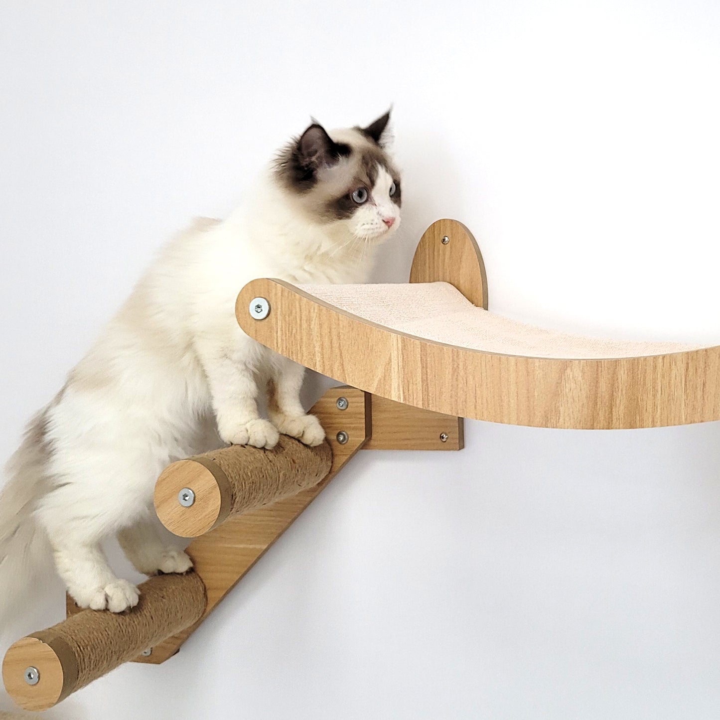 Stud Mounted Cat Wall Hammock with Stylish Curve Panel & Jumping Steps, Walnut