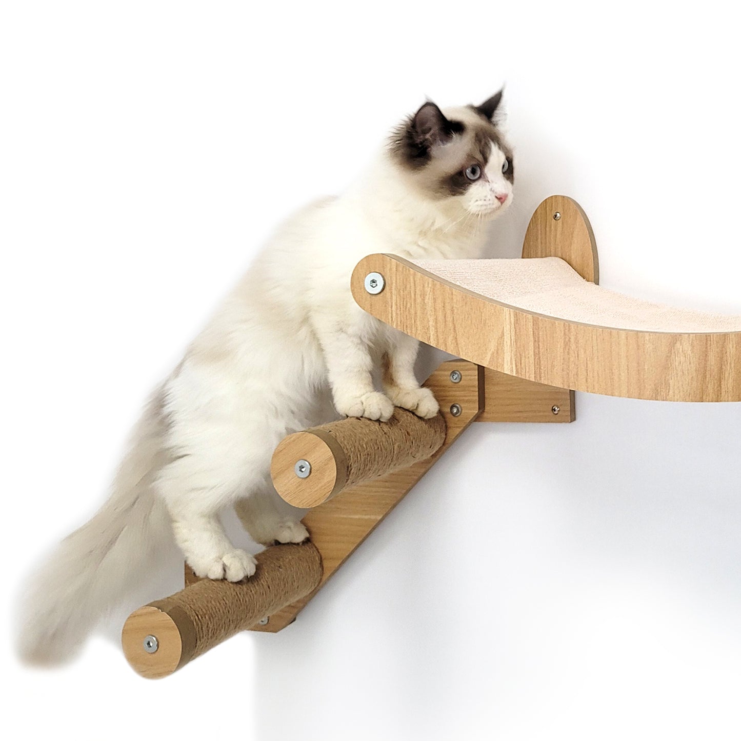 Stud Mounted Cat Wall Hammock with Stylish Curve Panel & Jumping Steps, Walnut