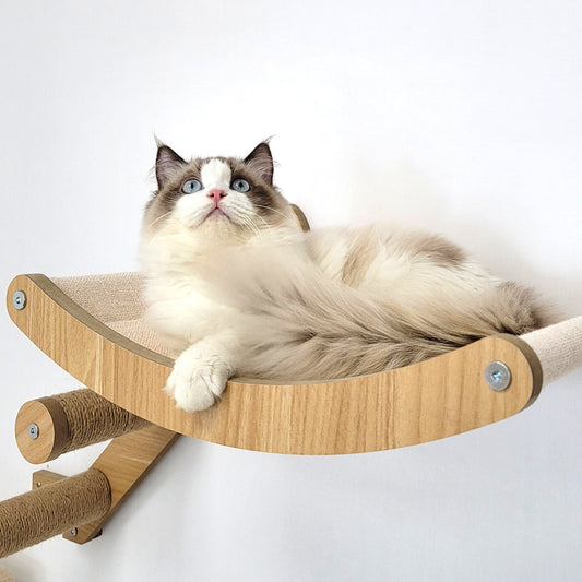 Stud Mounted Cat Wall Hammock with Stylish Curve Panel & Jumping Steps, Walnut