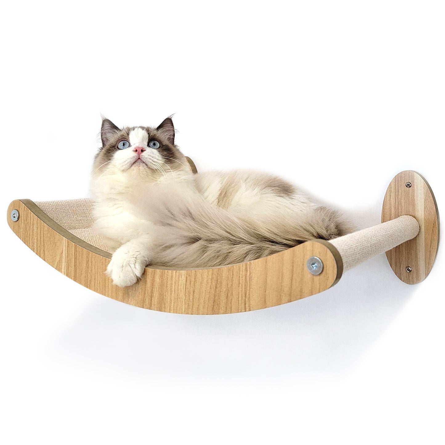 Stud Mounted Cat Wall Hammock with Stylish Curve Panel & Jumping Steps, Walnut