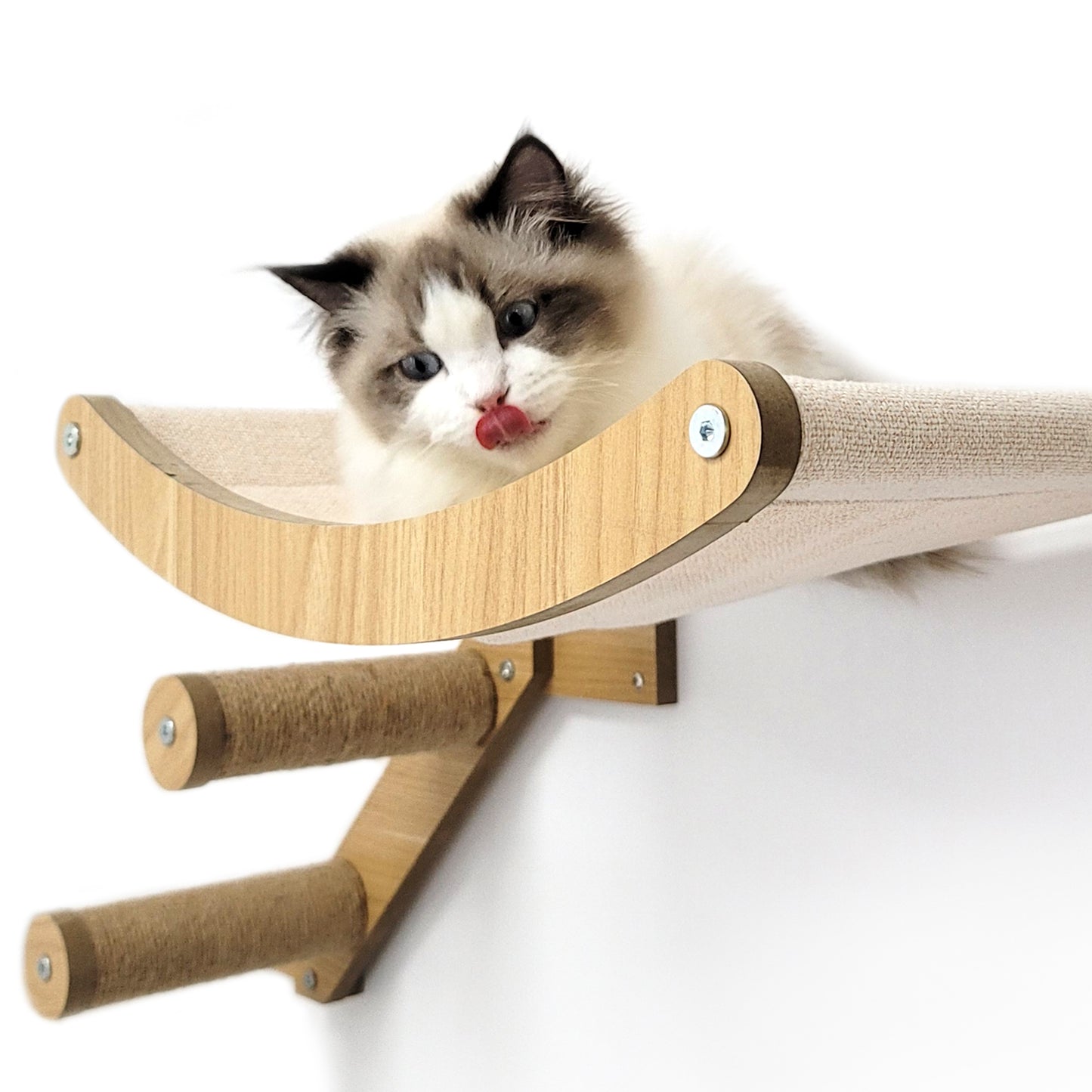 Stud Mounted Cat Wall Hammock with Stylish Curve Panel & Jumping Steps, Walnut