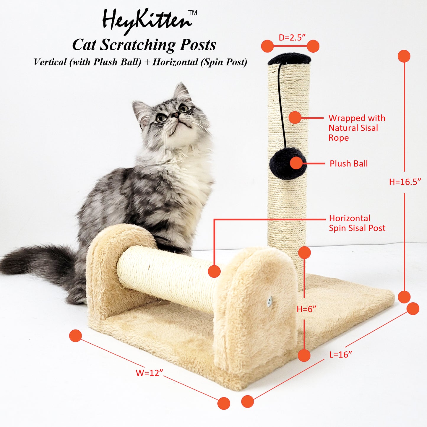 Dual Scratching Post for Indoor Cats